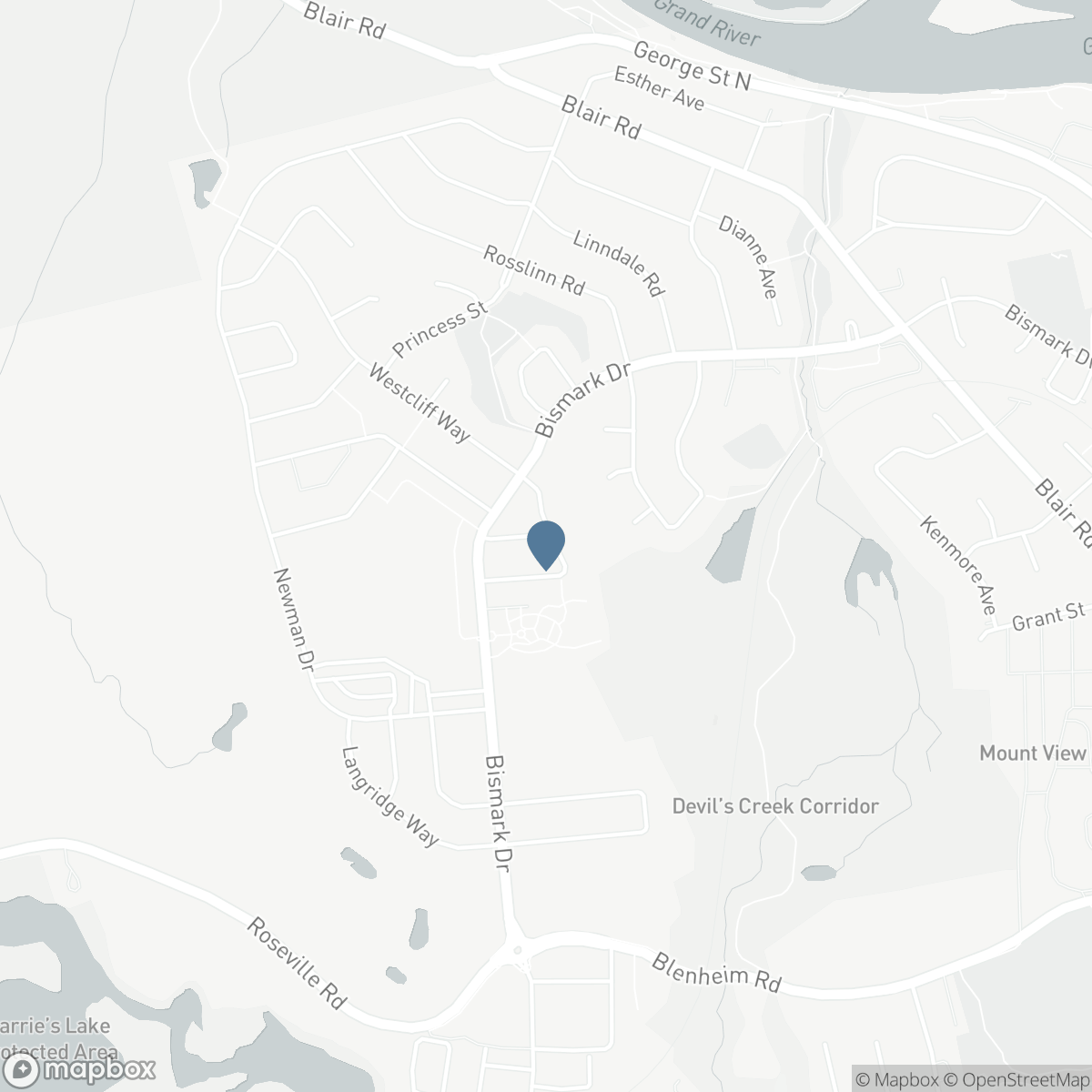 41 STEADMAN STREET, Cambridge, Ontario N1S 0C7